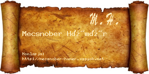 Mecsnober Hümér névjegykártya